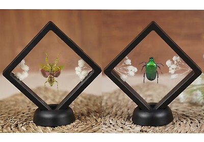 #ad 2Pcs 3D Floating Mantis amp; Beetle Display Frame Stand Holder Insect Collections $27.00