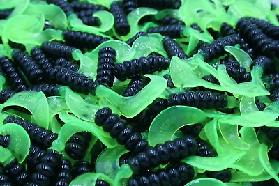 #ad 2quot; Black Chartreuse Hot Grubs Twister Tails Crappie Walleye Bass Fishing Lures $7.99