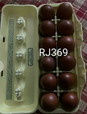 #ad French Black Copper Marans Fertile Hatching Eggs Rare Colorful Unique Beautiful $28.96