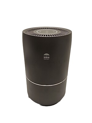 #ad WBM Smart Air Purifier Home Air Purifier Cleans Air From Smell Pollen Smoke $39.99