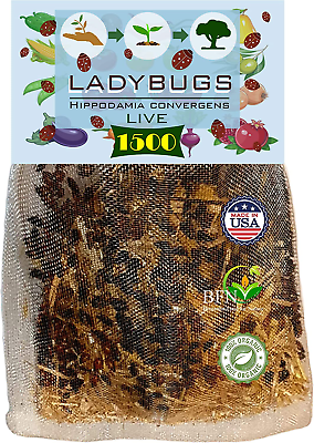 #ad 1500 Live Ladybugs for Garden Good Bugs Guaranteed Live Delivery $49.99