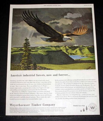 #ad 1952 OLD MAGAZINE PRINT AD WEYERHAEUSER TIMBER AMERICA#x27;S INDUSTRIAL FORESTS $12.99