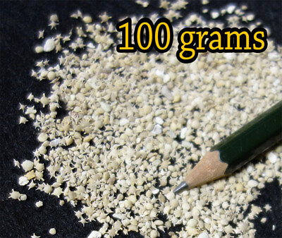 #ad 100 grams 3.52oz Natural Star Sand Sun Sand from Okinawa Japan beach $29.99