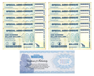 10 Zimbabwe 100 Billion Special Agro Cheque banknote 2008 P 64 USED COA $74.99