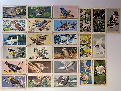 #ad VINTAGE Lot Of 25: 1940#x27;s to 1960#x27;s RED ROSE TEA Trading Cards Birds amp; Plants C $15.99
