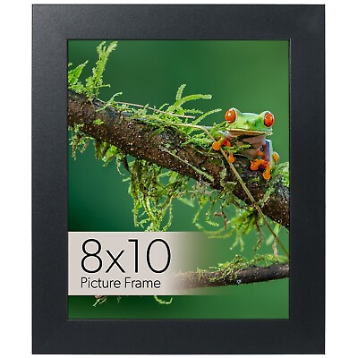 #ad 8x10 Black Frame Glass Picture Wall Hanging or Tabletop Dual Display Format $18.99