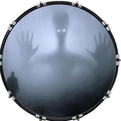 #ad 20quot; Custom Bass Kick Drum Front Head Graphic Graphical They are Here $74.94