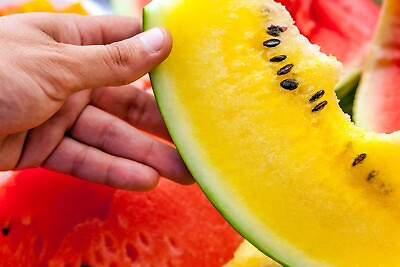 #ad 10 Yellow Flesh Moon and Stars Watermelon Seeds NON GMO Heirloom FRESH $3.00