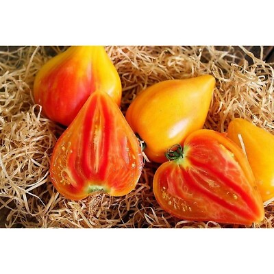 #ad 30 Orange Oxheart Tomato Seeds Heirloom Organic NON GMO FRESH RARE $2.98