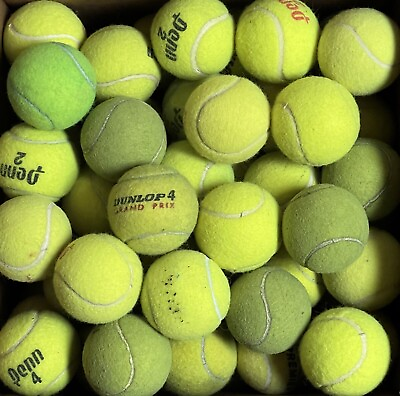 100 LOW COST DOGGIE BALLS USED TENNIS BALLS FREE SHIPPING $34.40