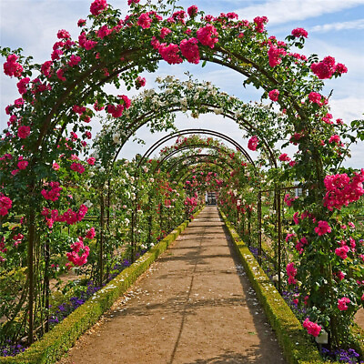 #ad #ad Heavy Duty Metal Garden Arch Trellis Arbour Outdoor Rose Climbing Plants Stand $29.96