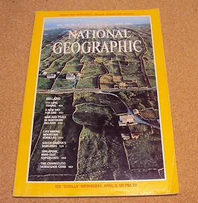 #ad National Geographic April 1981 War Peace Ireland Mountain Gorillas Singapore $1.35