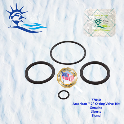#ad 2quot; American Fits Piston Valve Replacement O Ring Kit By Pooltek USA. 77010 $9.82