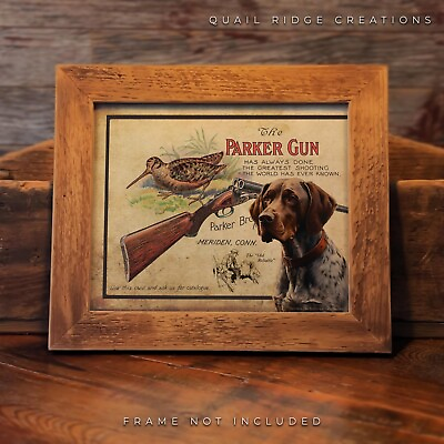 #ad Parker Gun Advertising Art Print 8X10 German Shorthair Hunting Dog Wall Decor $7.99