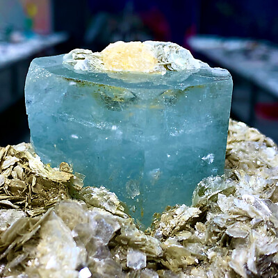 #ad 6.56LB Museum Top Grade Aquamarine Terminated Crystals Specimen $4031.25