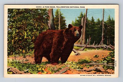 #ad Yellowstone National Park Park Bear Series #13053 Antique Vintage Postcard $6.99
