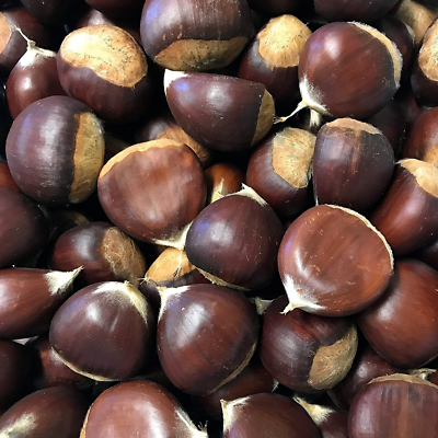 #ad Chestnuts Fresh in the Shell 2 Pounds 32 Ounces $46.95