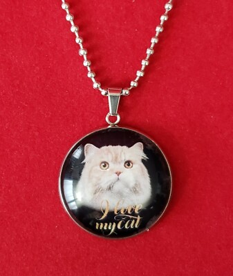 #ad Cat Necklace chain Glass Pendant. Stainless Steel 30mm. #17. $13.50
