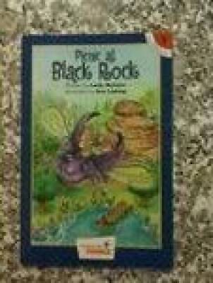 #ad Picnic At Black Rock Paperback By Leslie McGuire GOOD $3.53