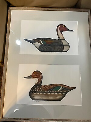 #ad Rare Huge Arthur Nevin quot;Pintail Drake and Pintail Henquot; Dual Print Signed Framed $398.00