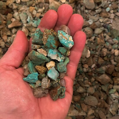 #ad 500 Carat Lots of SMALL Natural Turquoise Rough a Free Faceted Gemstone $20.57