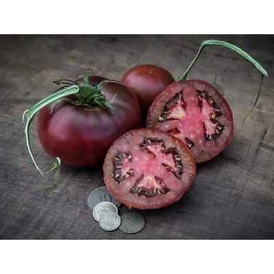#ad 30 BLACK FROM TULA TOMATO SEEDS heirloomseedguy 2024 NON GMO $1.69