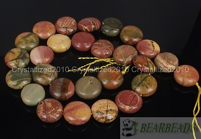 #ad Natural Picasso Jasper Gemstone Round Coin 14mm Loose Beads 15quot; Jewelry Making $5.29