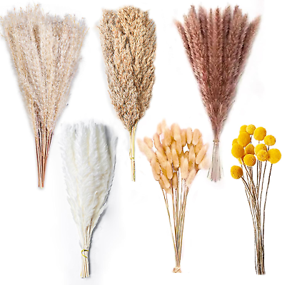 #ad 100PCS Natural Dried Pampas Grass Decor 17.5quot; Fluffy Pampas Grass Bouquet Bo $20.22