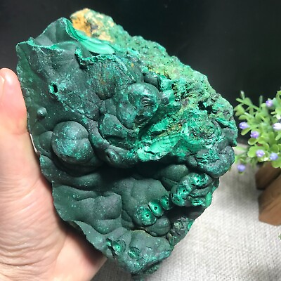#ad 1987g Natural Quality Rough Raw Malachite Crystal Mineral Specimen collection 01 $297.00
