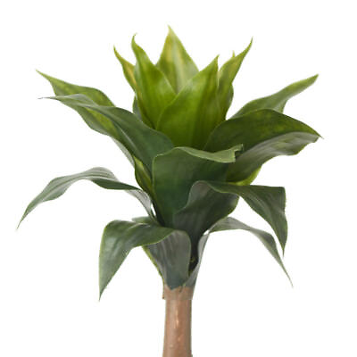 #ad Factory Direct Craft Artificial Aloe Plant $16.79