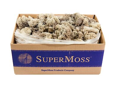 #ad SuperMoss 21742 Reindeer Moss Preserved Natural 3lbs $118.73