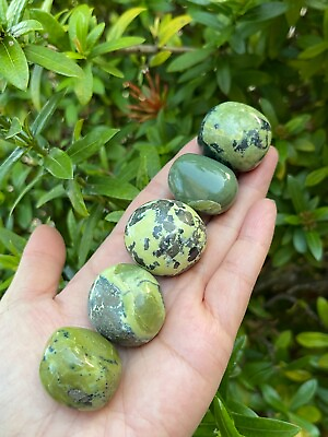 #ad Grade A Serpentine Tumbled Stones 1 1.25 Inch Tumbled Serpentine Stones $8.85