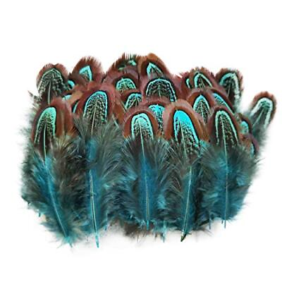 #ad 50 Pcs Natural Pheasant Plumage Feathers 2 3 Inches Plumage Feathers for Sewing $11.57