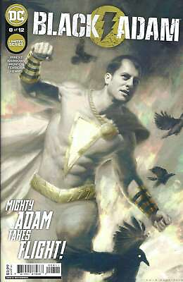 #ad Black Adam #8 VF NM; DC Christopher Priest we combine shipping $3.99