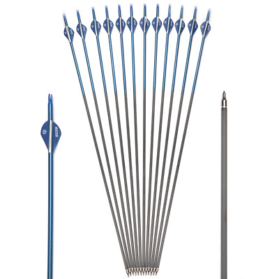 #ad 30 Inches Spine Arrows with Replaceable Arrowhead for Compound and Recurve Bows $41.96