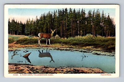 #ad Yellowstone National Park Park Deer Series #10138 Vintage Souvenir Postcard $7.99