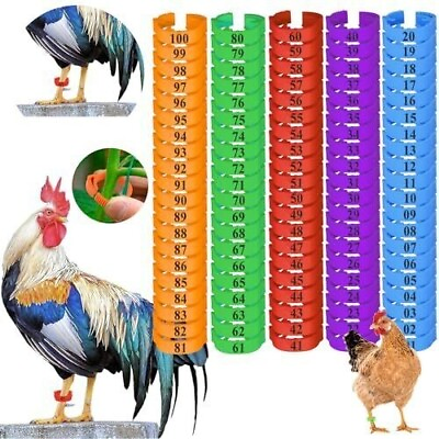#ad 100 Pcs 16mm Chicken Leg Rings Numbered Poultry Leg Bands Foot Rings $13.54