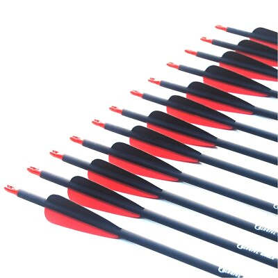 #ad Carbon Arrow 28 30 31 Inches Length Spine 500 Arrowhead for Compound Bow Archery $34.16