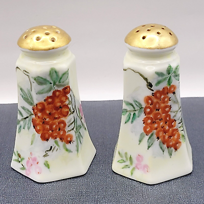 #ad Red Currants OEamp;S Hexagon Porcelain Royal Austria Salt Pepper Shakers Early 1900 $16.95