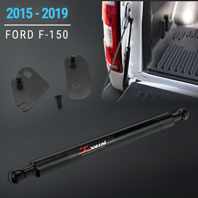 #ad Fits Ford F 150 Truck Tailgate Assist Liftgate Support Shock Struts 2015 2020 $24.29