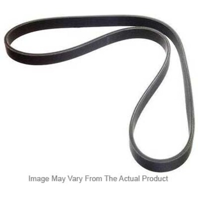#ad 5060827 Dayco Drive Belt Coupe for Ford Escape Jeep Grand Cherokee Focus Charger $41.14