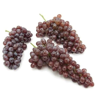 #ad Grape Zante Currant or Black Corinth 3 cuttings no roots $45.00