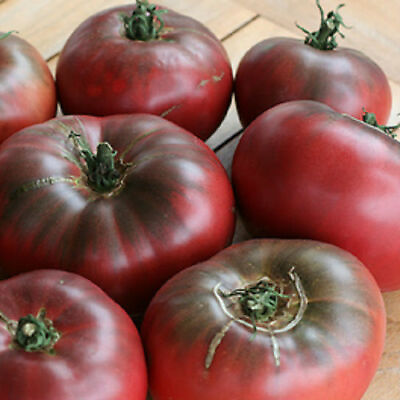 #ad Cherokee Purple Tomato Seeds Non GMO Free Shipping Seed Store 1022 $2.19