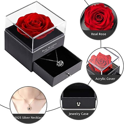 #ad Preserved Rose with 925 Silver I Love You Necklace in 100 Languages $13.76