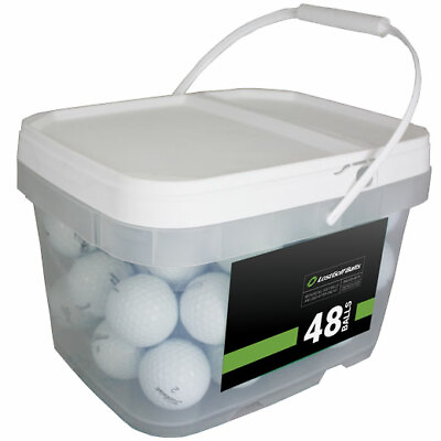 48 Titleist Pro V1 2019 Near Mint Quality Used Golf Balls AAAA In a Free Bucket $71.96