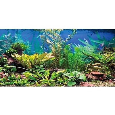 #ad 48X24 Inches Aquarium Background Aquatic Plant River Bed amp; Lake Fish Tank Back.. $15.28