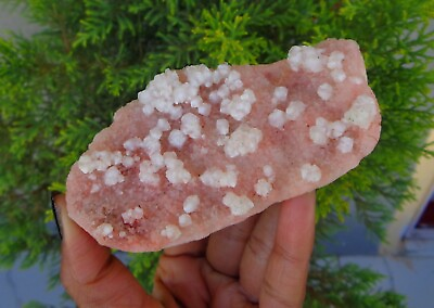 #ad Apophyllite Crystals On Light Pink Chalcedony Coral Matrix Minerals Specimen#H17 $30.00