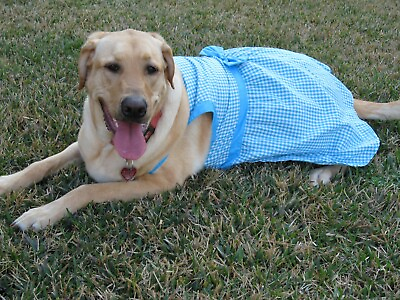 #ad East Side Collection Blue Gingham Dog Dress XL $7.64