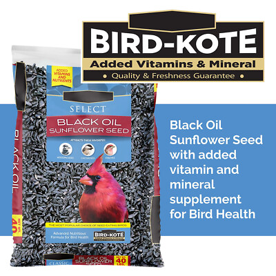 #ad Black Oil Sunflower Seed Dry Wild Bird Feed 40 lb. Bag 1 Pack $19.90