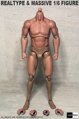 #ad Figure Body GANGHOOD 1 6 Muscular Strong Action For 12in Arnold Doll Model Toy $41.99